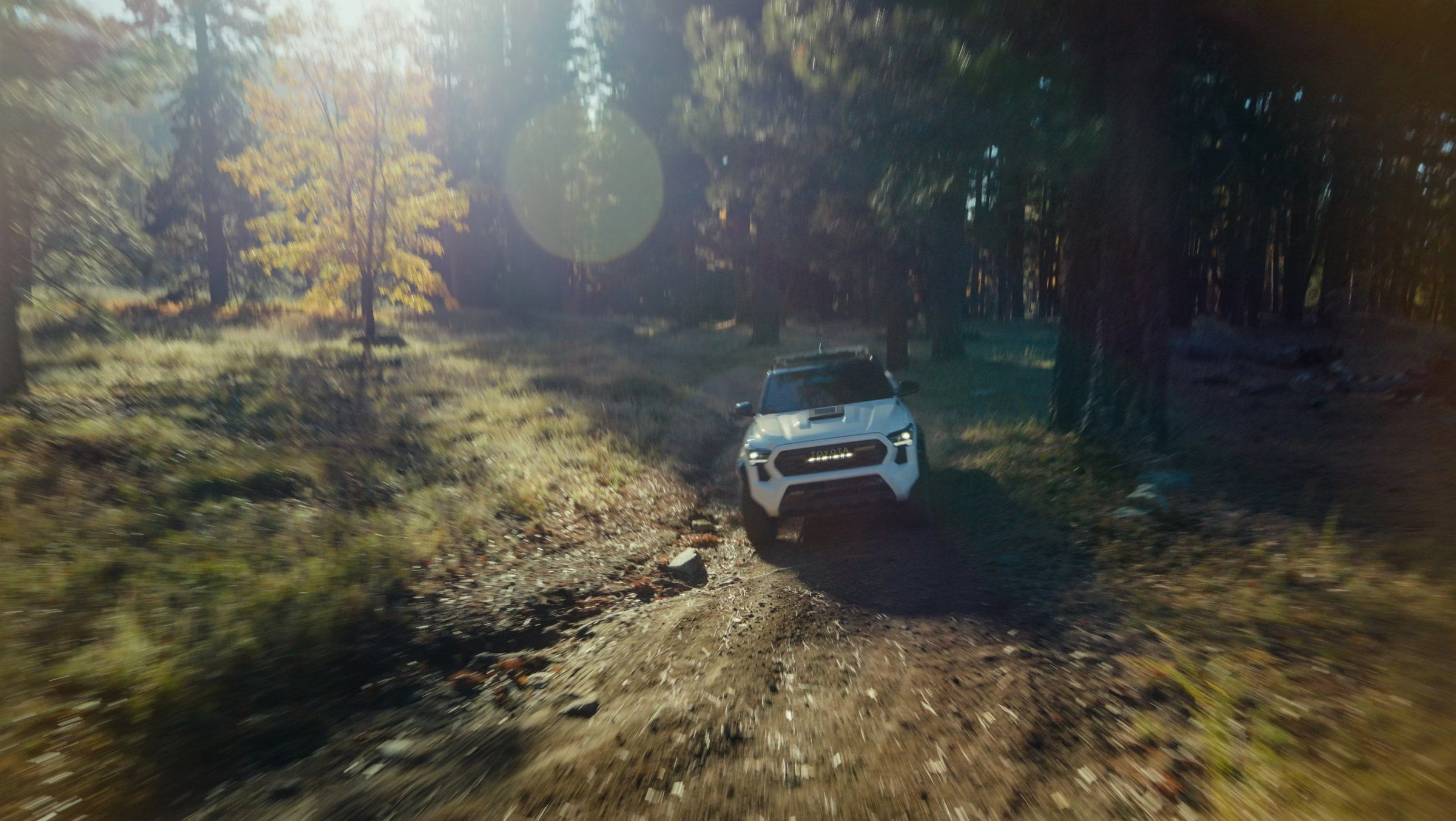 A white Toyota truck on a forest track, sun flaring through the pines